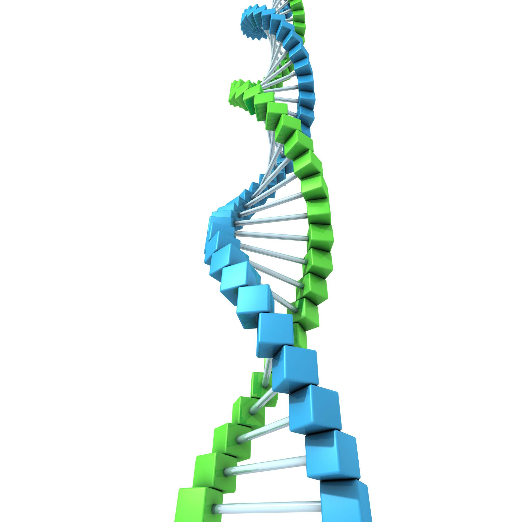 DNA Double Helix Model