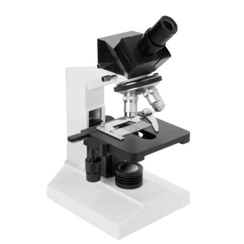 Compound Microscope