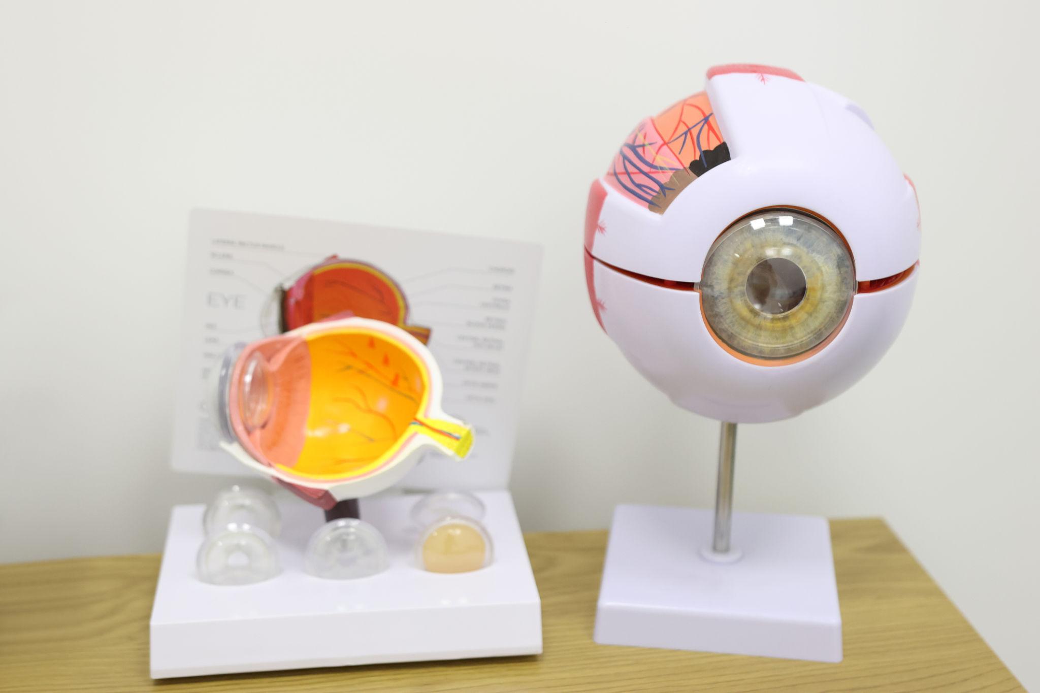 Eye Model