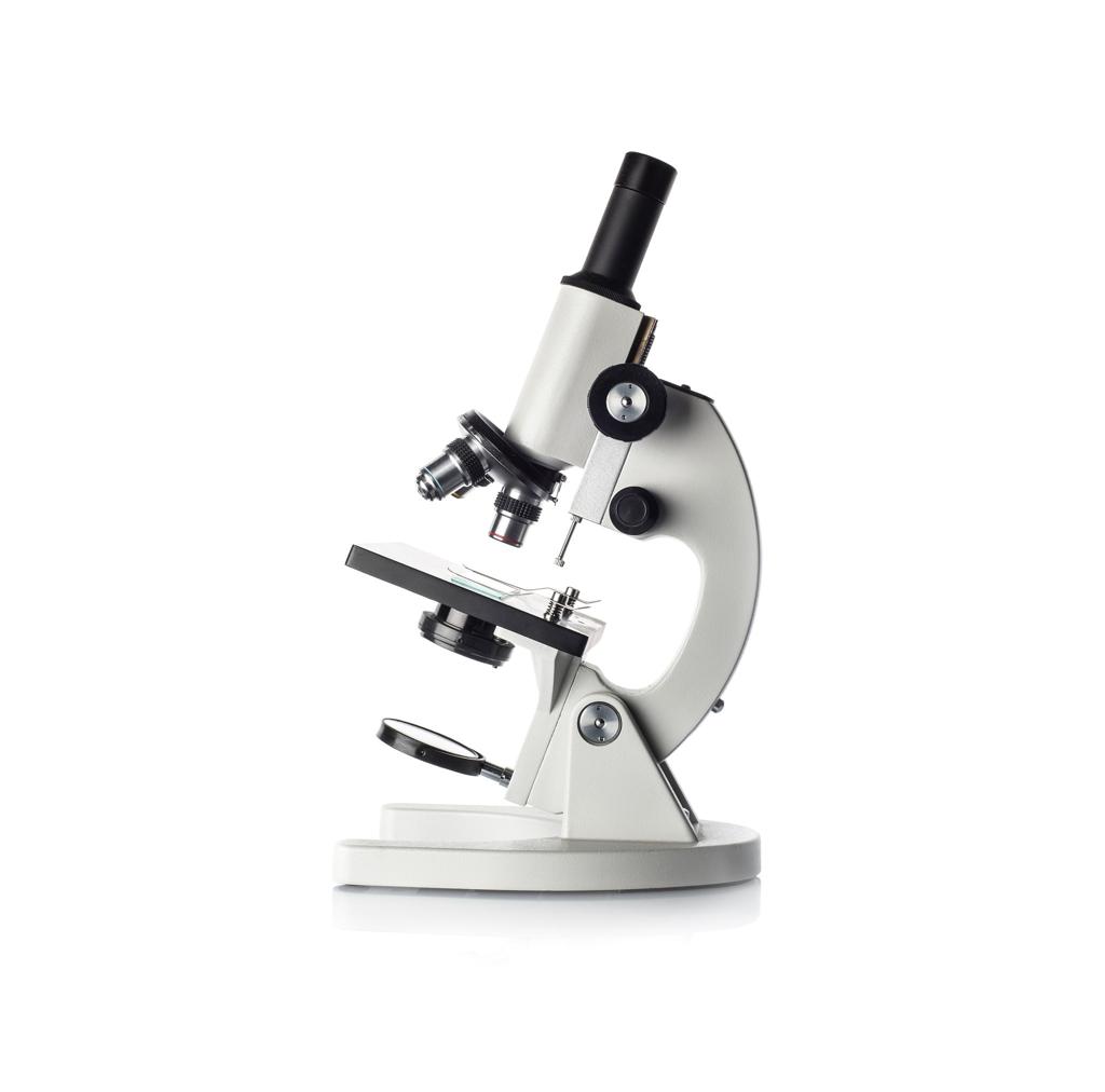 Stereo Microscope